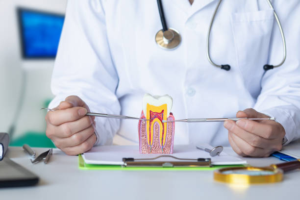 Best Emergency Wisdom Teeth Removal in Atoka, TN